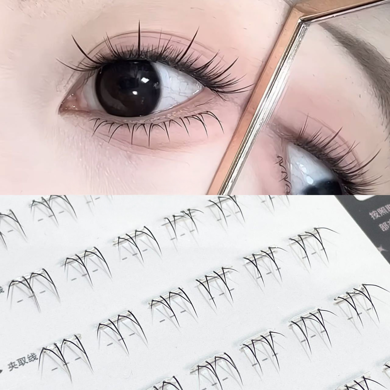 No Glue False eyelash Extensti - Lash Adhesive Glue 리뷰 및 가격