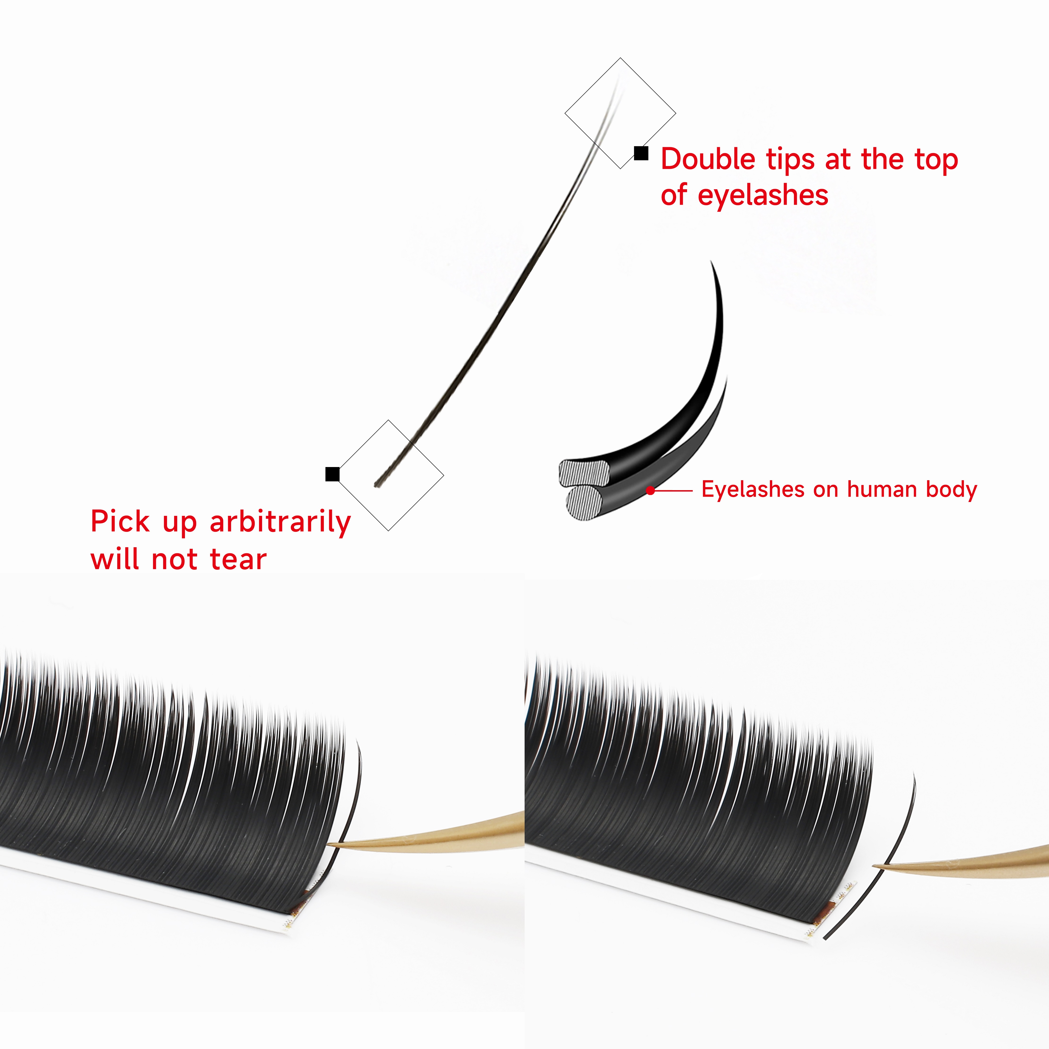 XIUSUZAKI Flat Ellipse Eyelash - Eyelash Extensions Classic 리뷰 및 가격